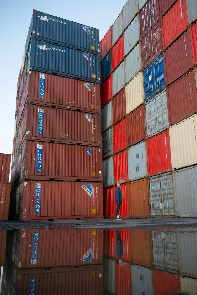 الاستيراد والتصدير