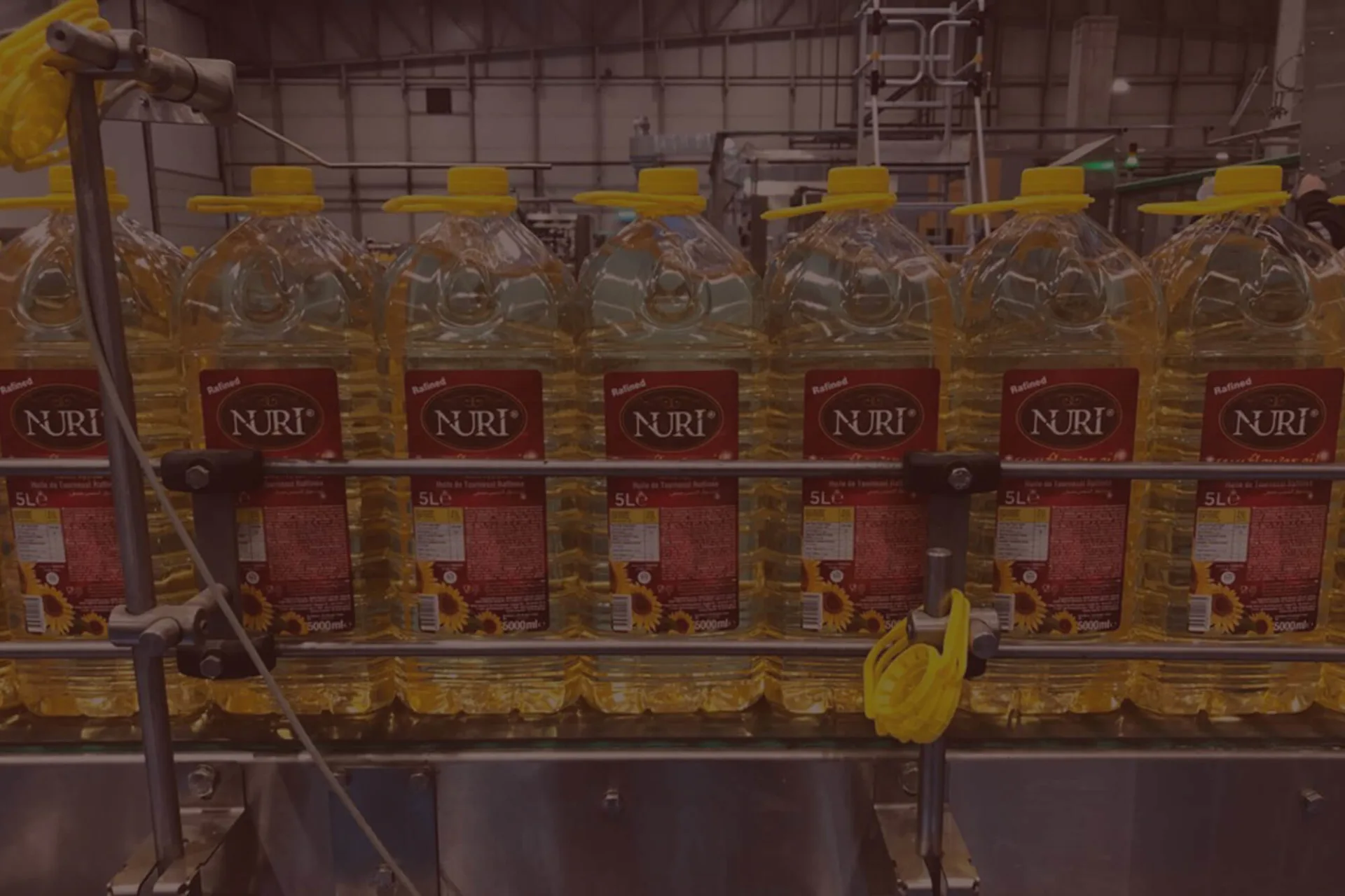 الـمـواد الـغذائيــة